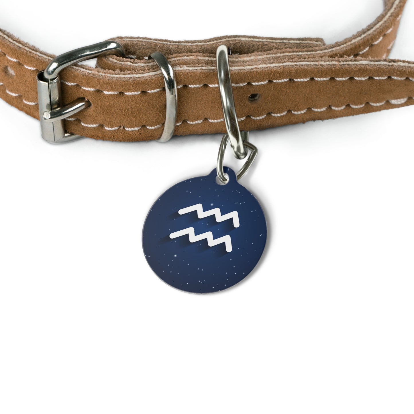 Add Your Pet's Zodiag Collar with a Custom Pet Tag