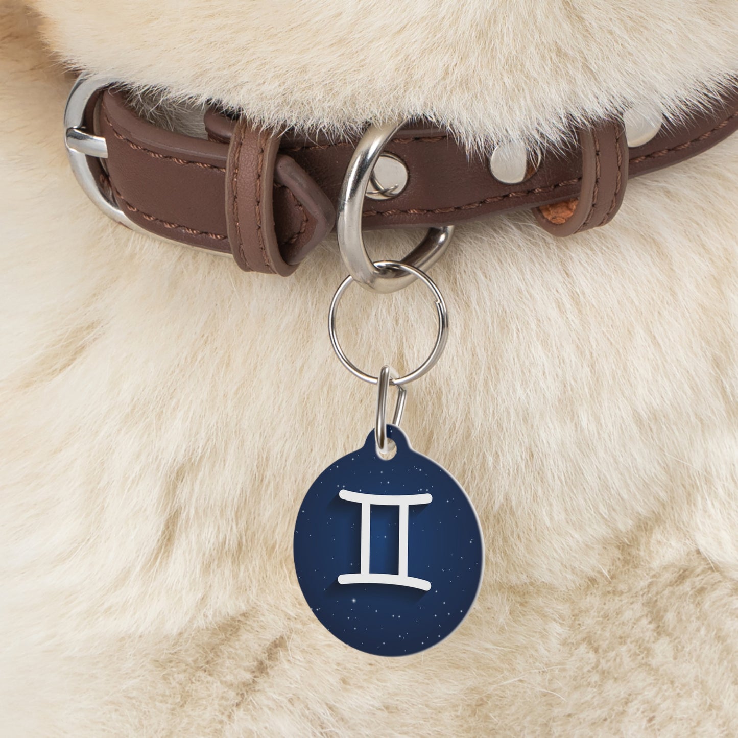 Add Your Pet's Zodiag Collar with a Custom Pet Tag