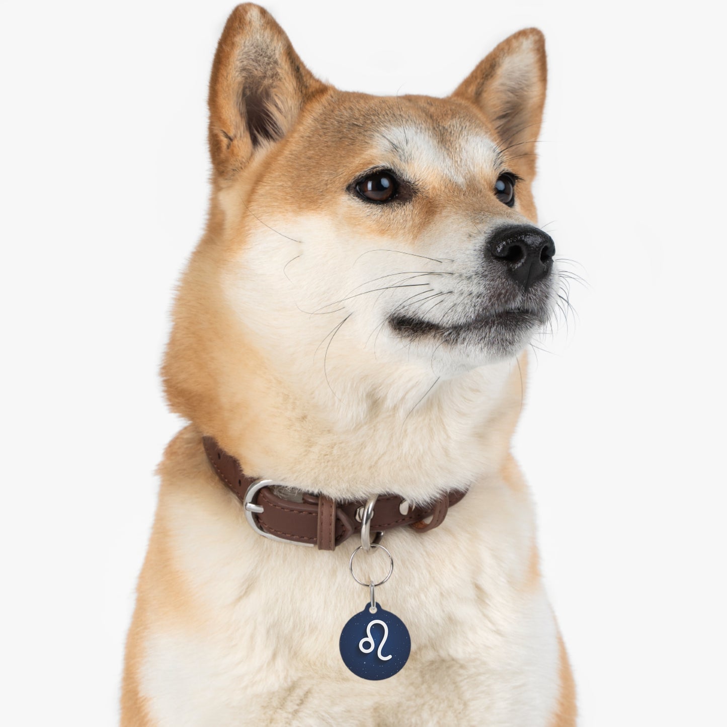 Add Your Pet's Zodiag Collar with a Custom Pet Tag