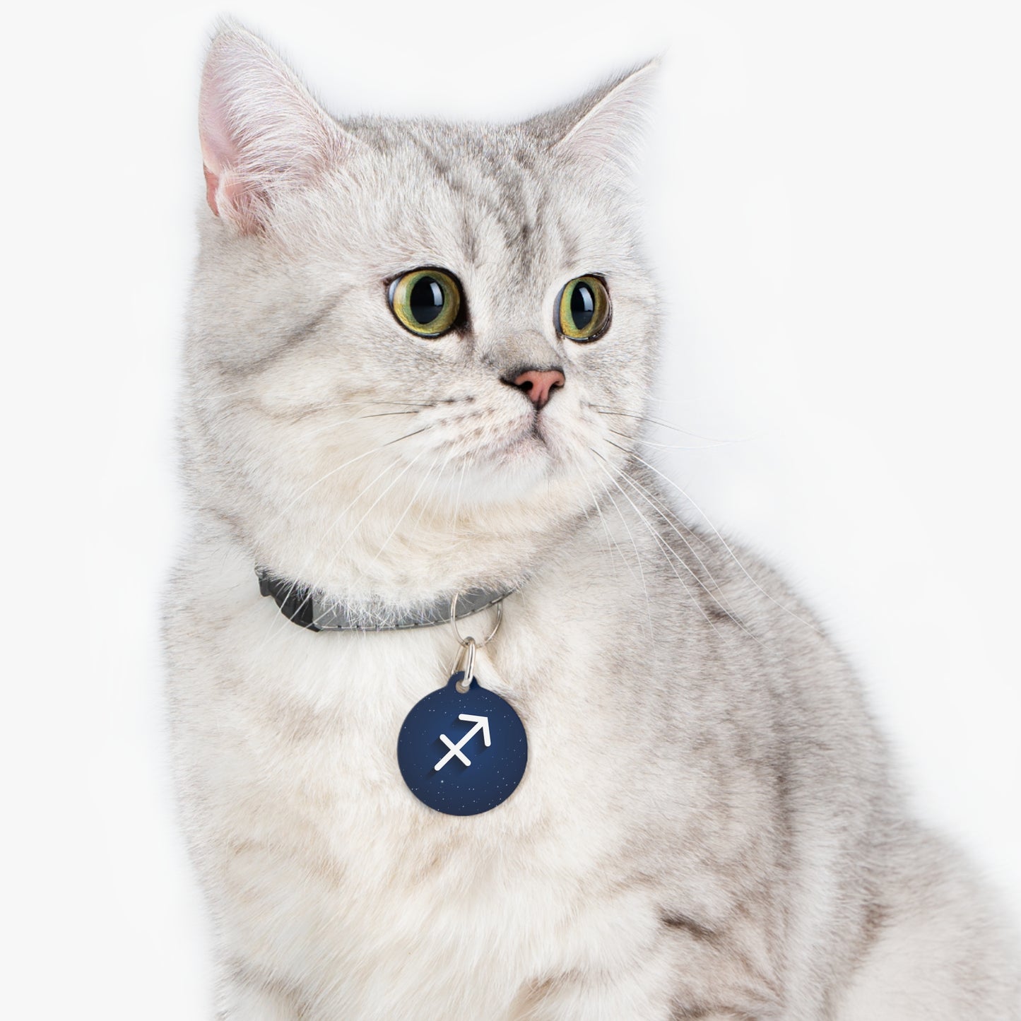 Add Your Pet's Zodiag Collar with a Custom Pet Tag