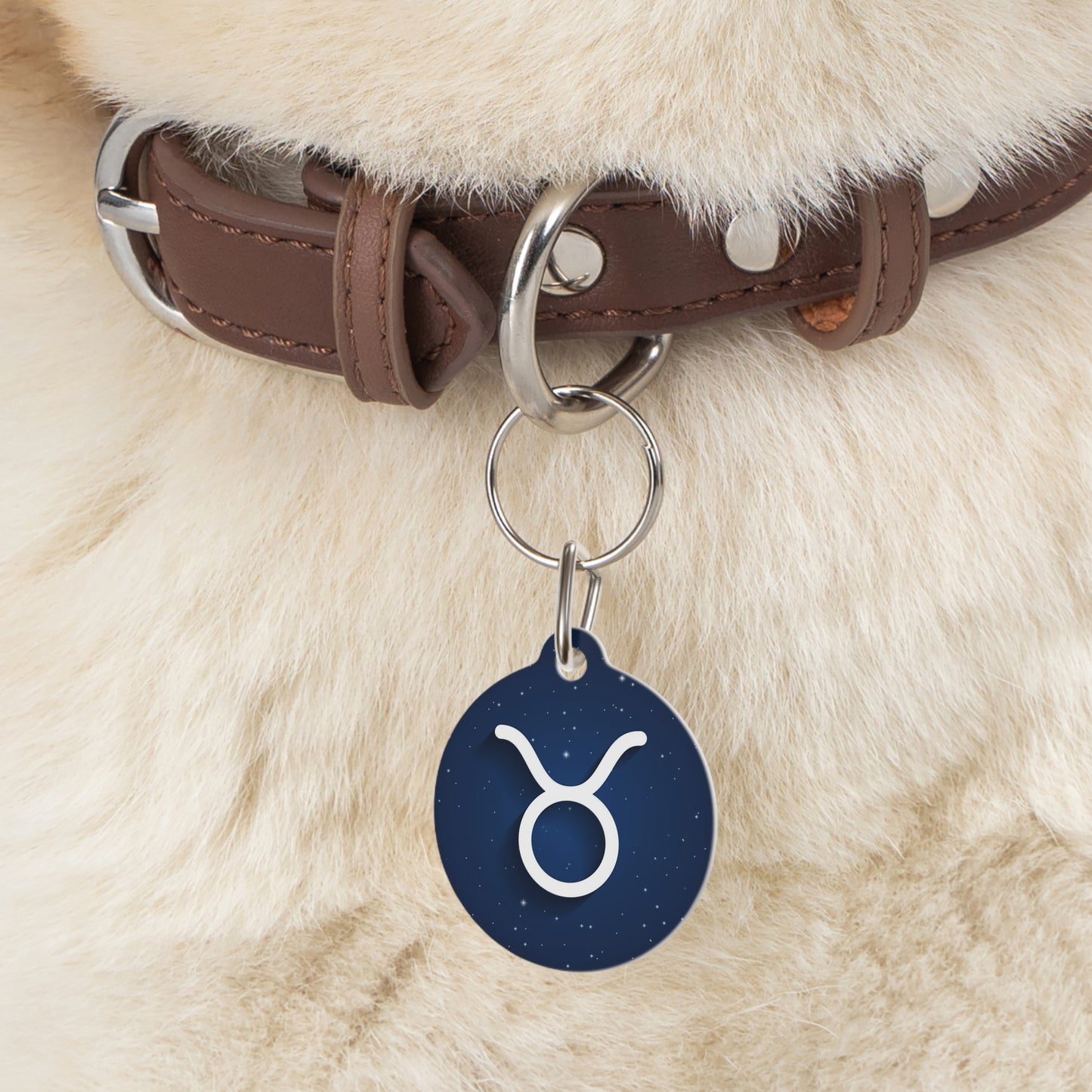 Add Your Pet's Zodiag Collar with a Custom Pet Tag